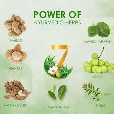 Herb Vatika Ayurveda India